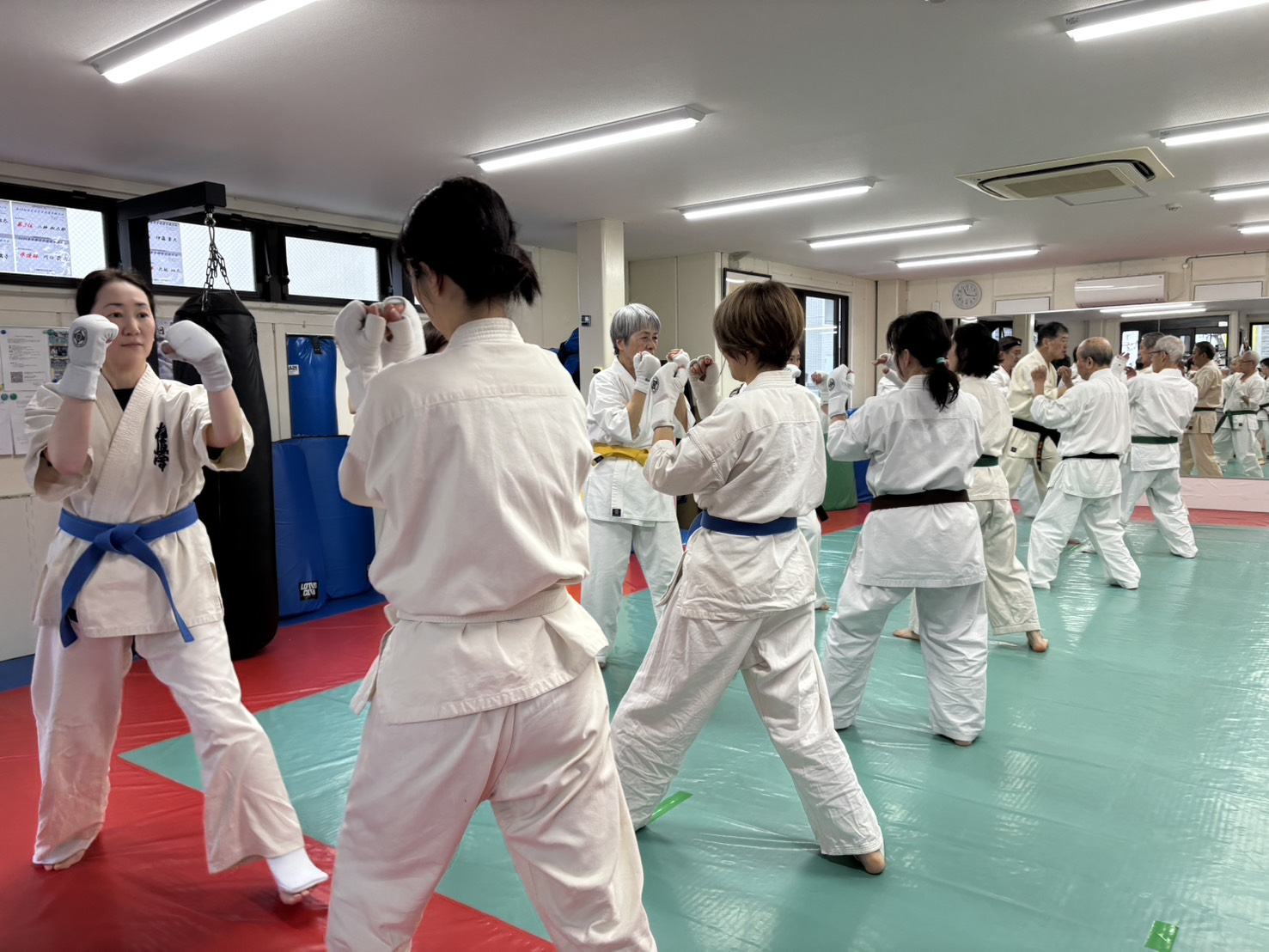 極真会館 東京城南川端道場で組手の稽古をする女性たち。護身にもつながる本格的な稽古です
